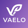 Vaelo SpigotMC image
