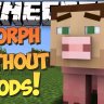 Morph SpigotMC image