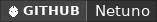 GitHub data badge for Netuno