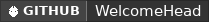 GitHub data badge for WelcomeHead